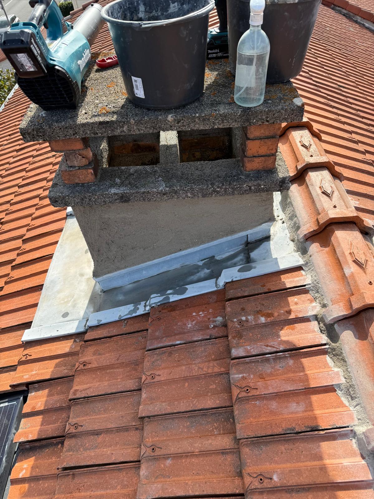 Démoussage toiture professionnel Lot